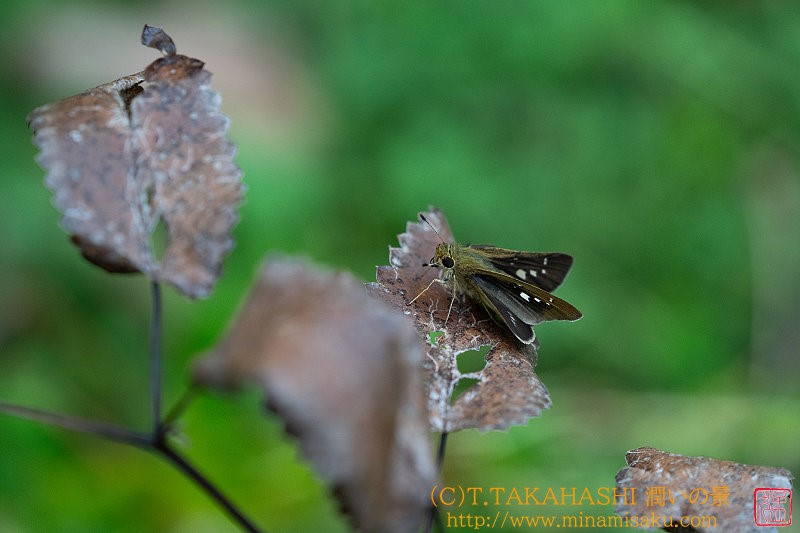 ../Images/7R240928 (4).jpg